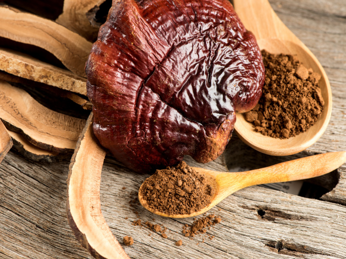 reishi mushroom extract powder 1.jpg